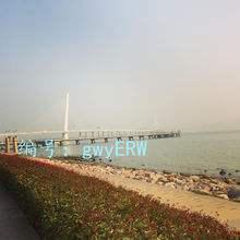 Ҿ