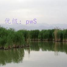 ĩ