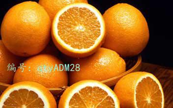 ģ