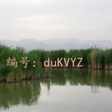Ļ