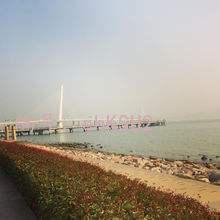 ˲