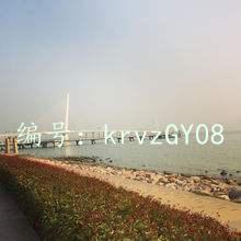 ζ