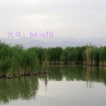 Ļ