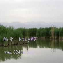 Ļ