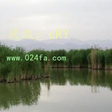 Ŀ
