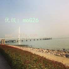 ҵ