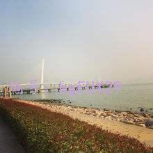 ζ