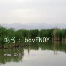ĩ