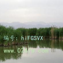 ½