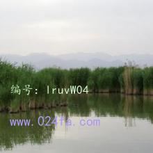 ĩ