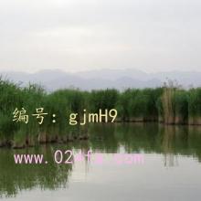 ½