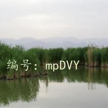 ʾ԰