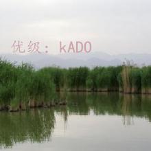 ĩ