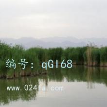 Ļ