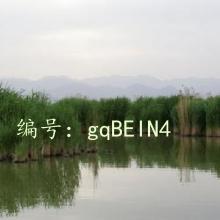 ĩ