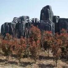 Ļ
